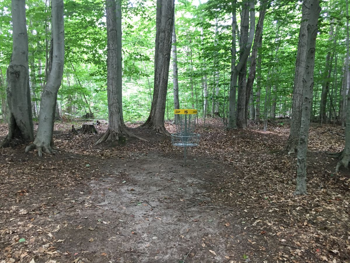 Putting on hole 15.🪵🇨🇦🍃🍂
