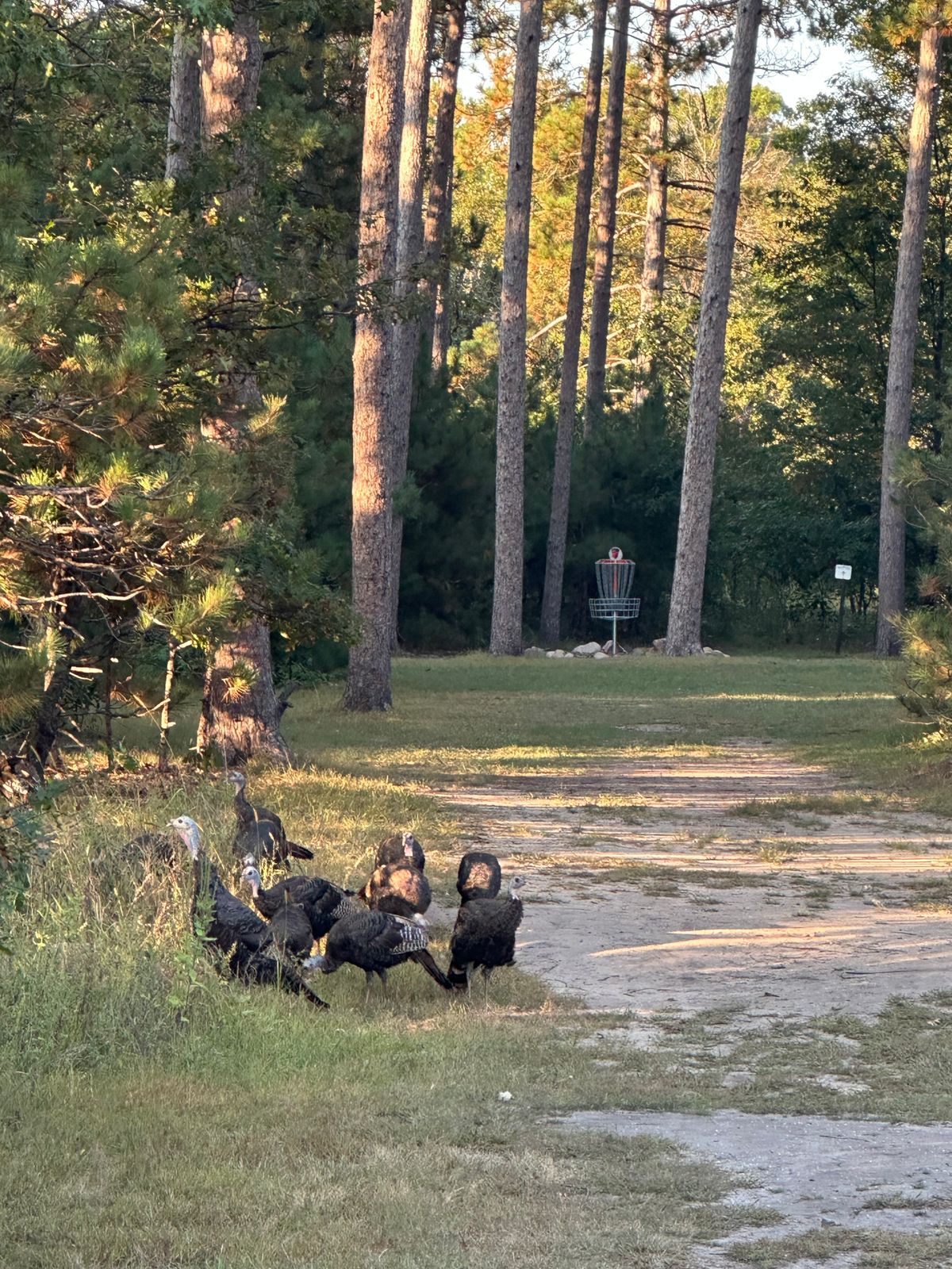 Hole 7 Spectators