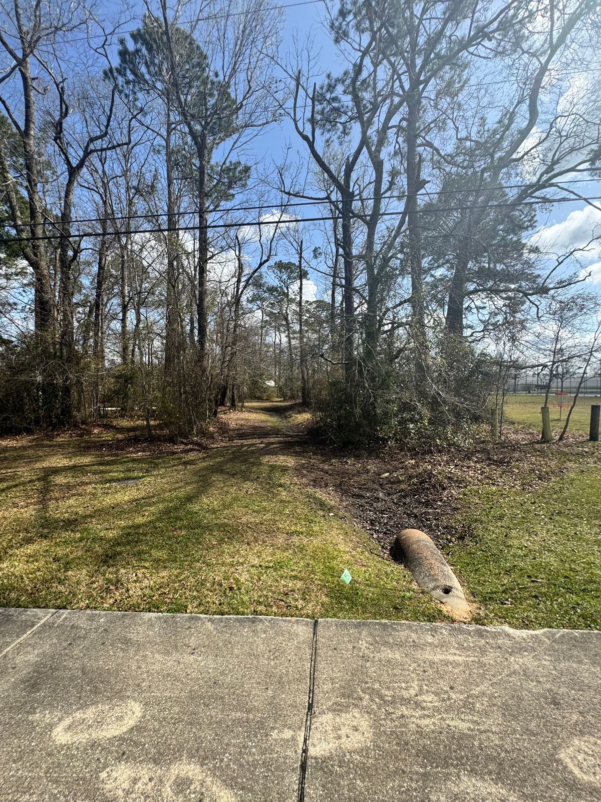 Hole 5 tee