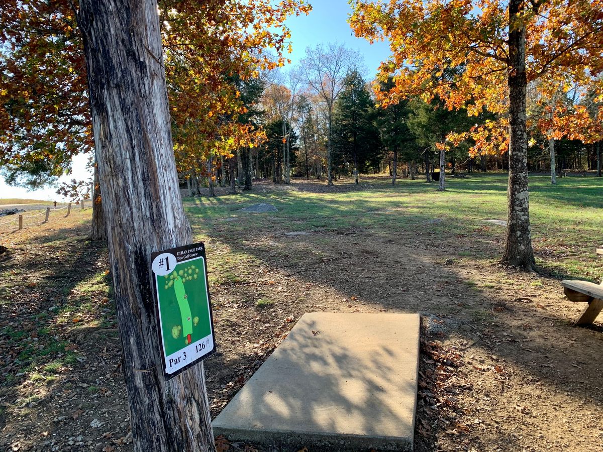 Tee pad for #1