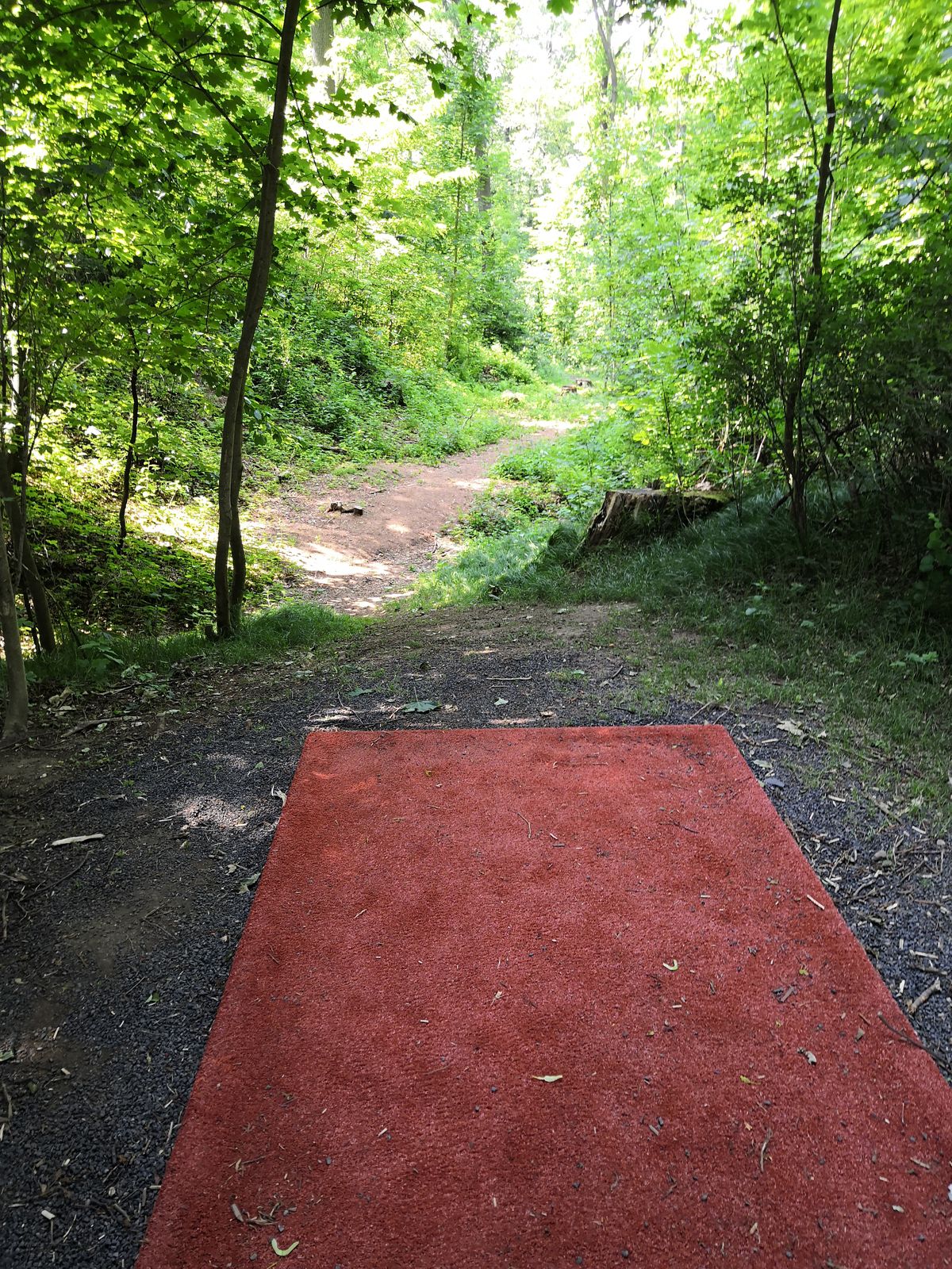 Hole 6