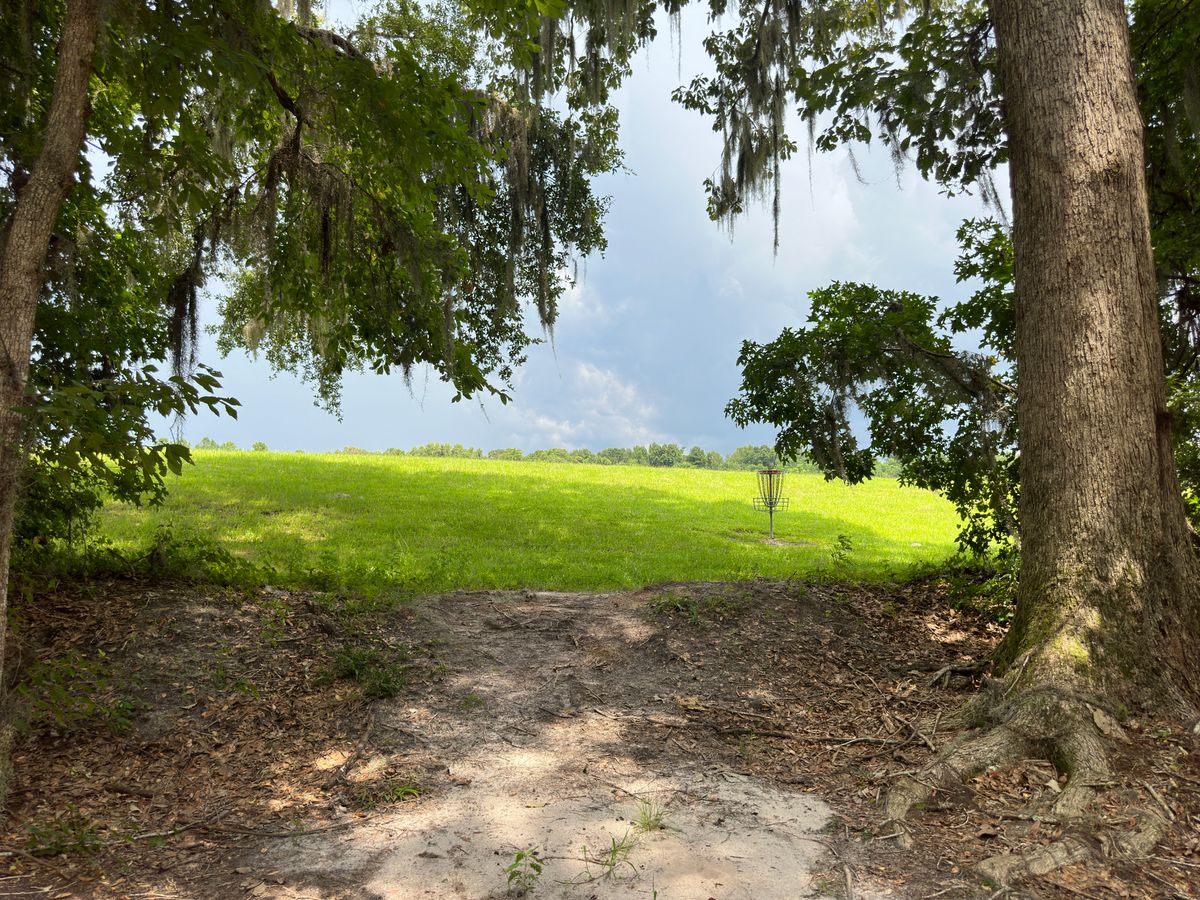 Hole 4 pin