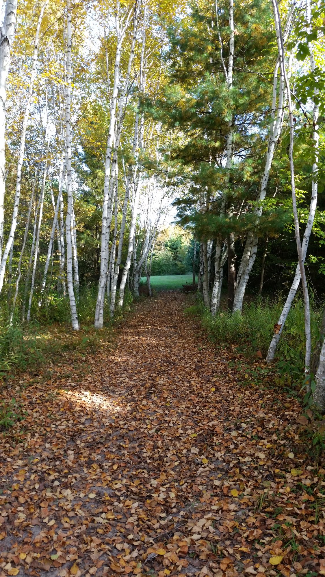 Hole 12