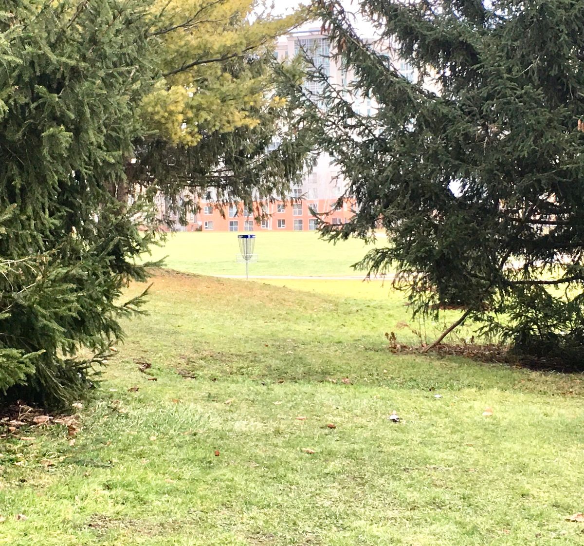 Fairway 5. 🌲🇨🇦🌲🇨🇦🌲🇨🇦