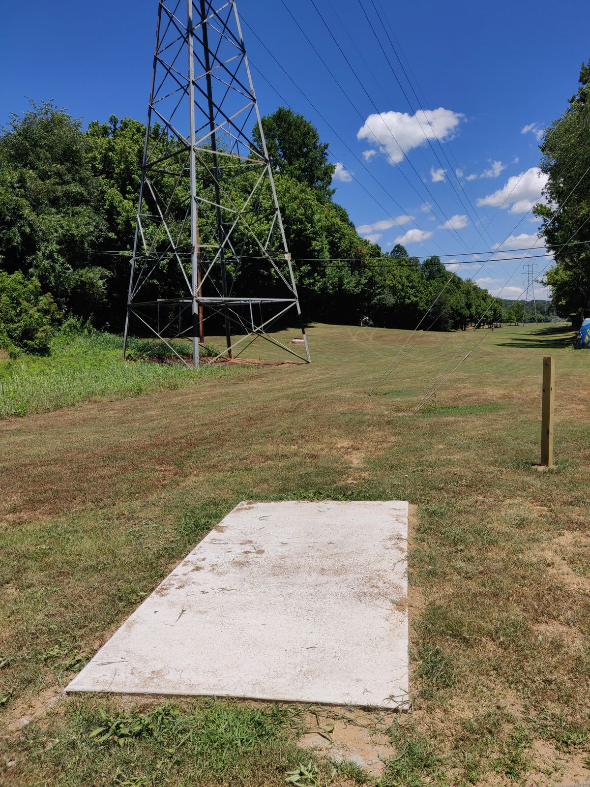 Hole 9. Looking at the basket from the tee pad.