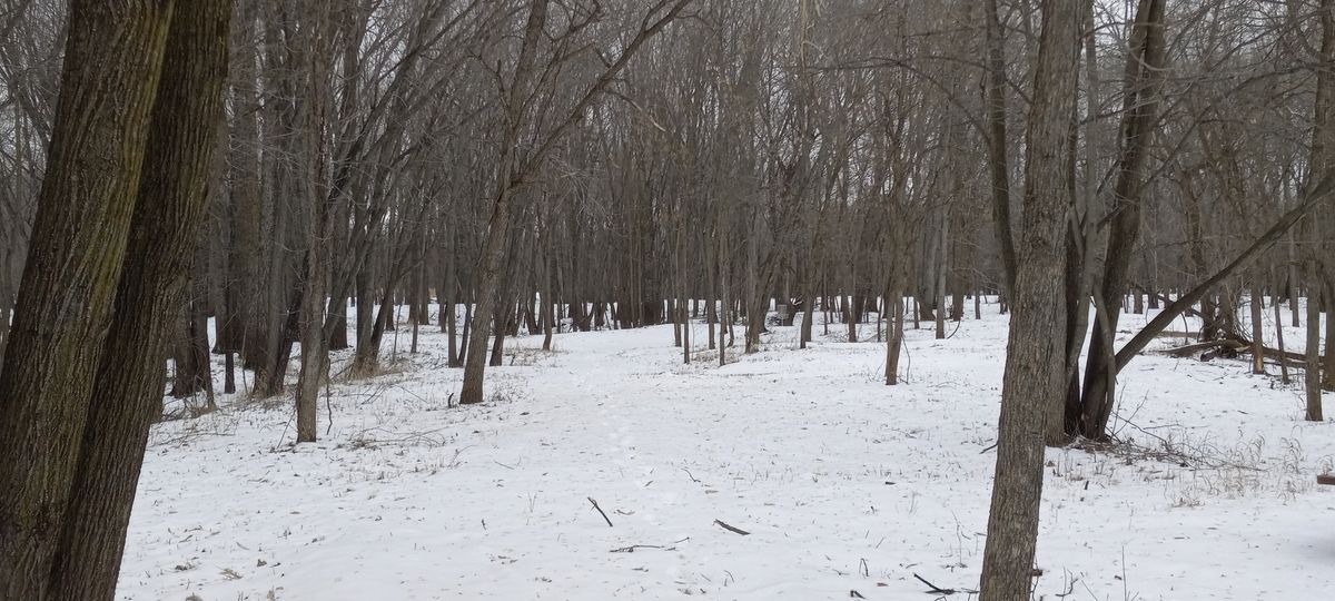 Hole seven fairway.