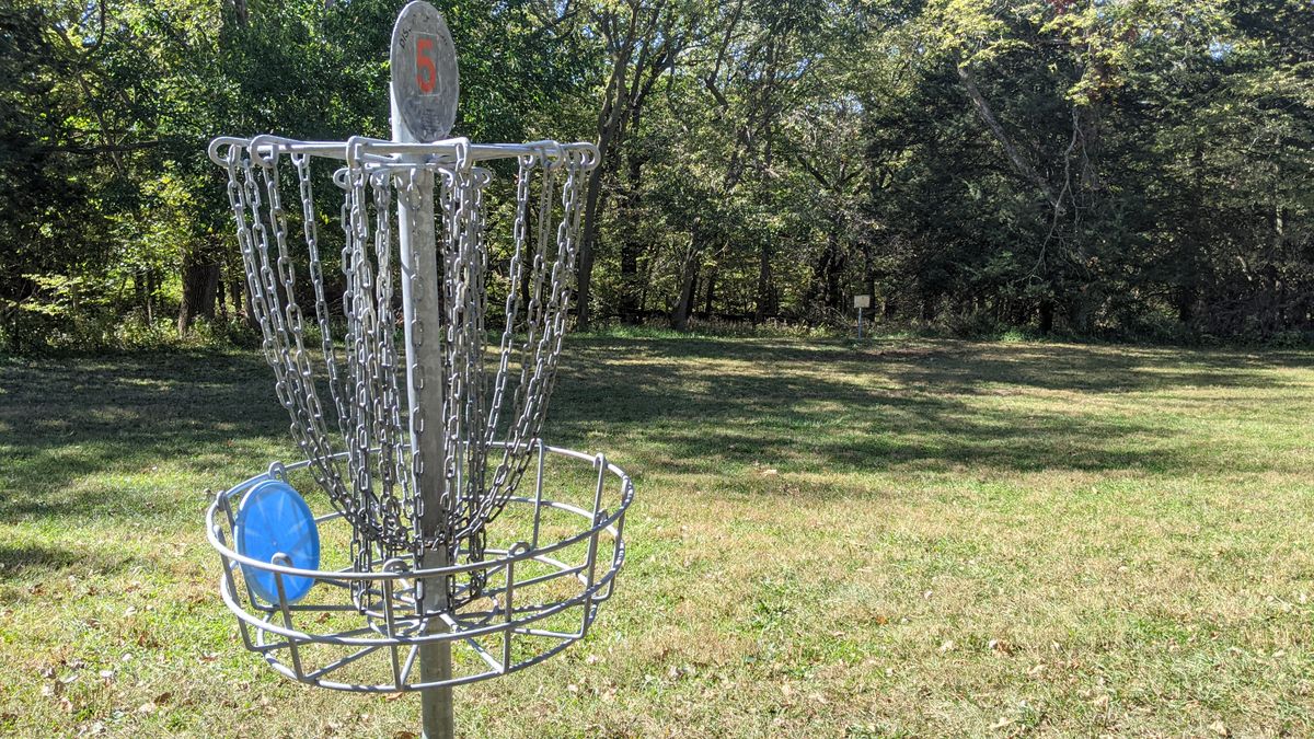 #5 Basket with #6 Tee beyond.