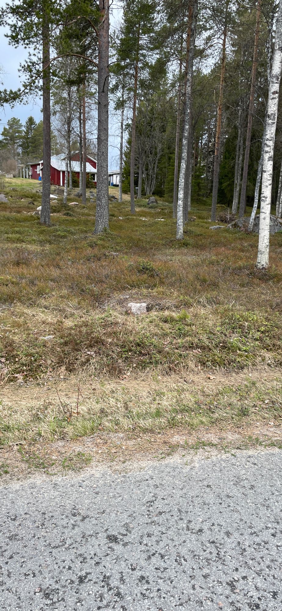 Hål 12, tee on street.