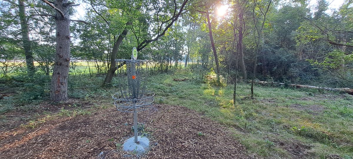 13 B