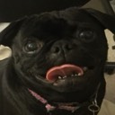 User avatar image