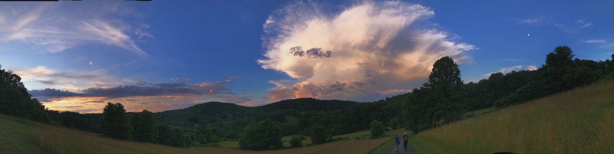 Purrrrty