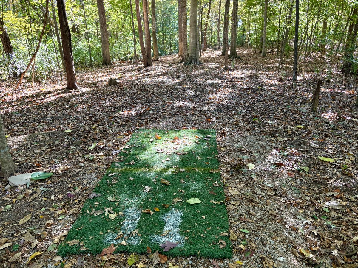 Hole 11 tee