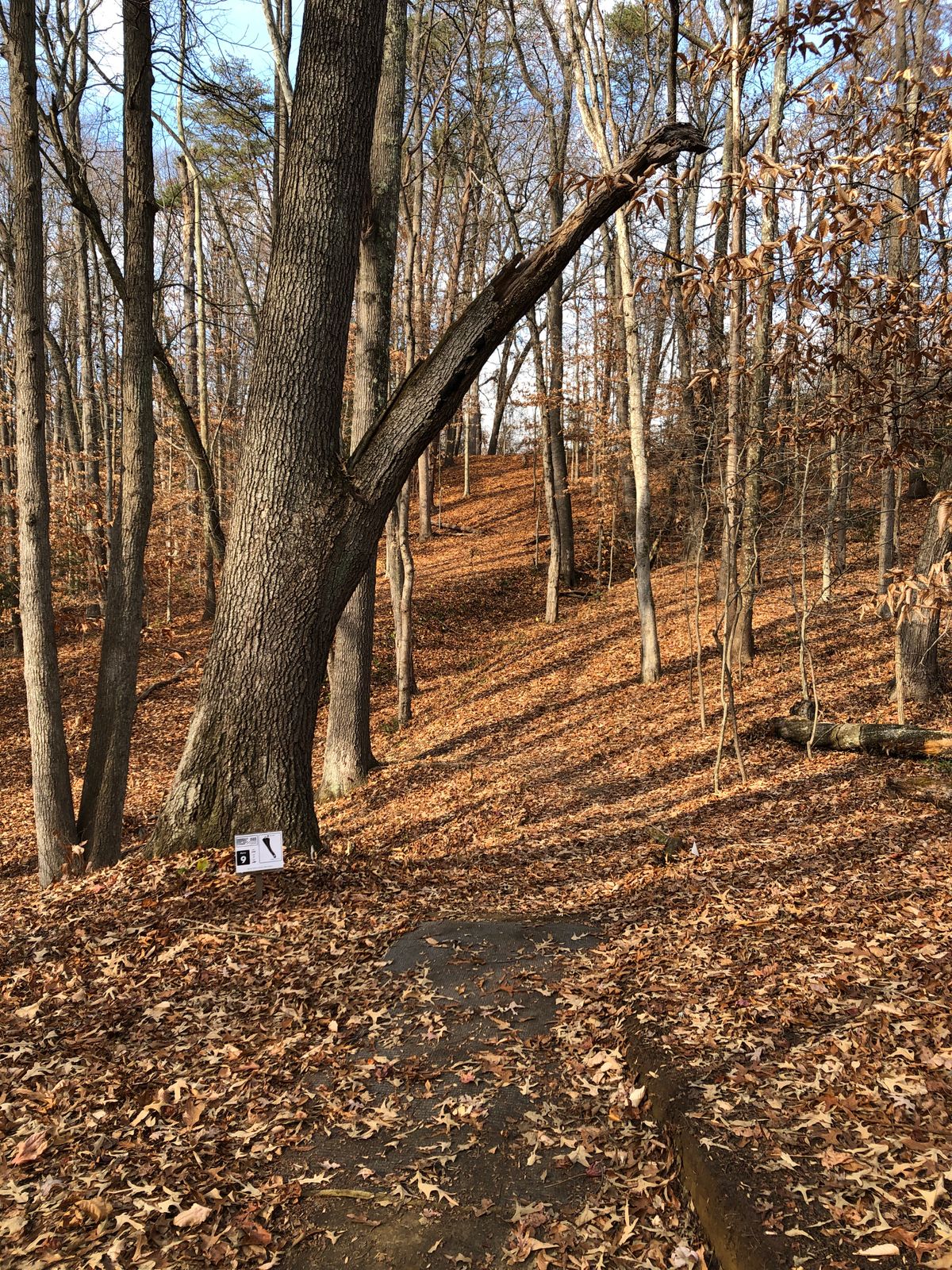 Hole 9 tee (steep uphill; difficult ditch/trench on right)