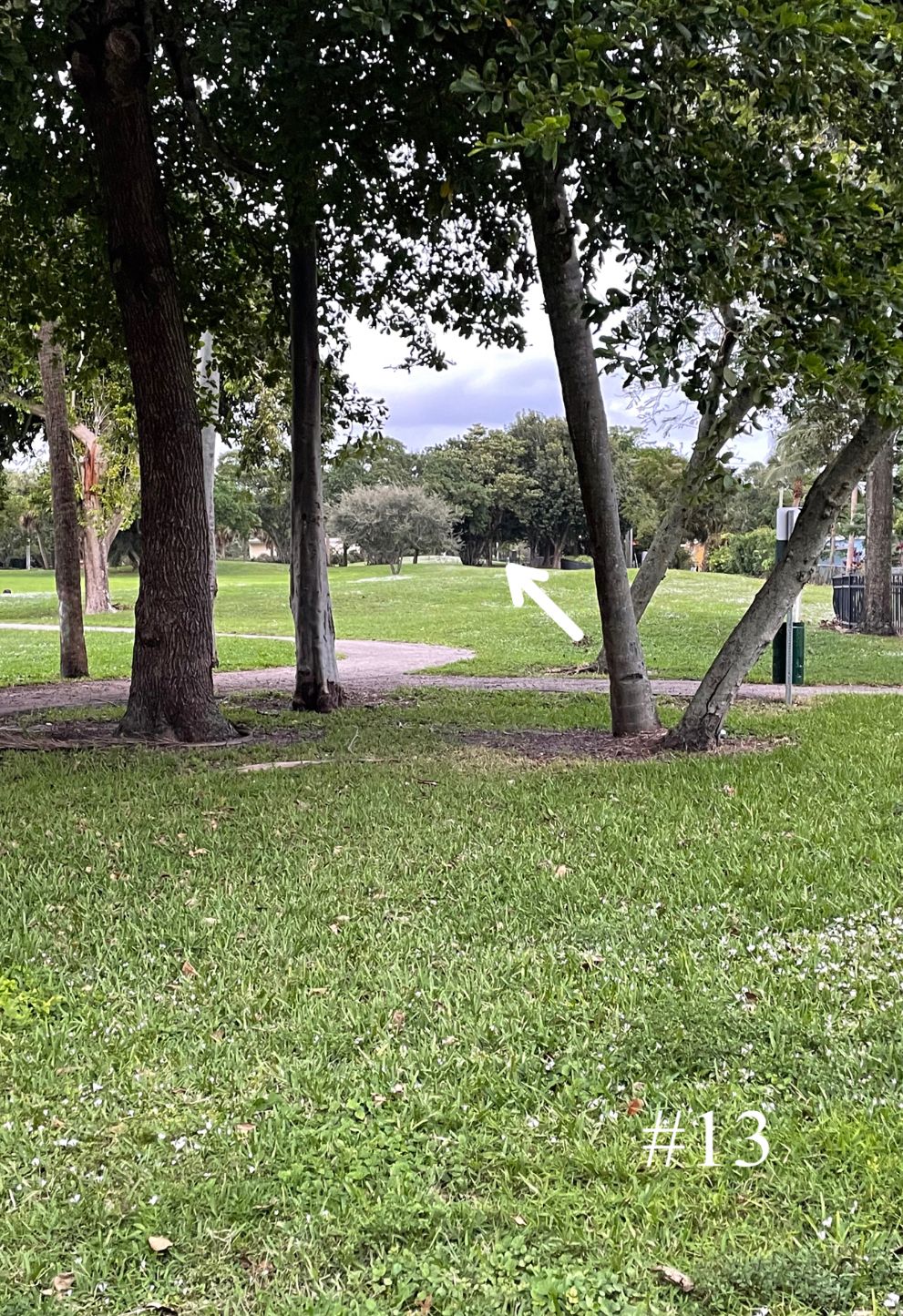 Hole 13, Long Tee