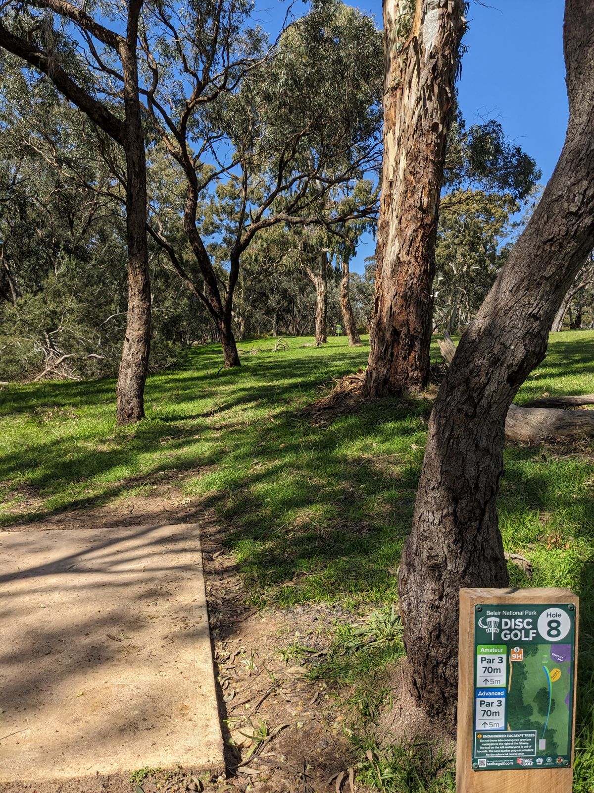 Hole 8