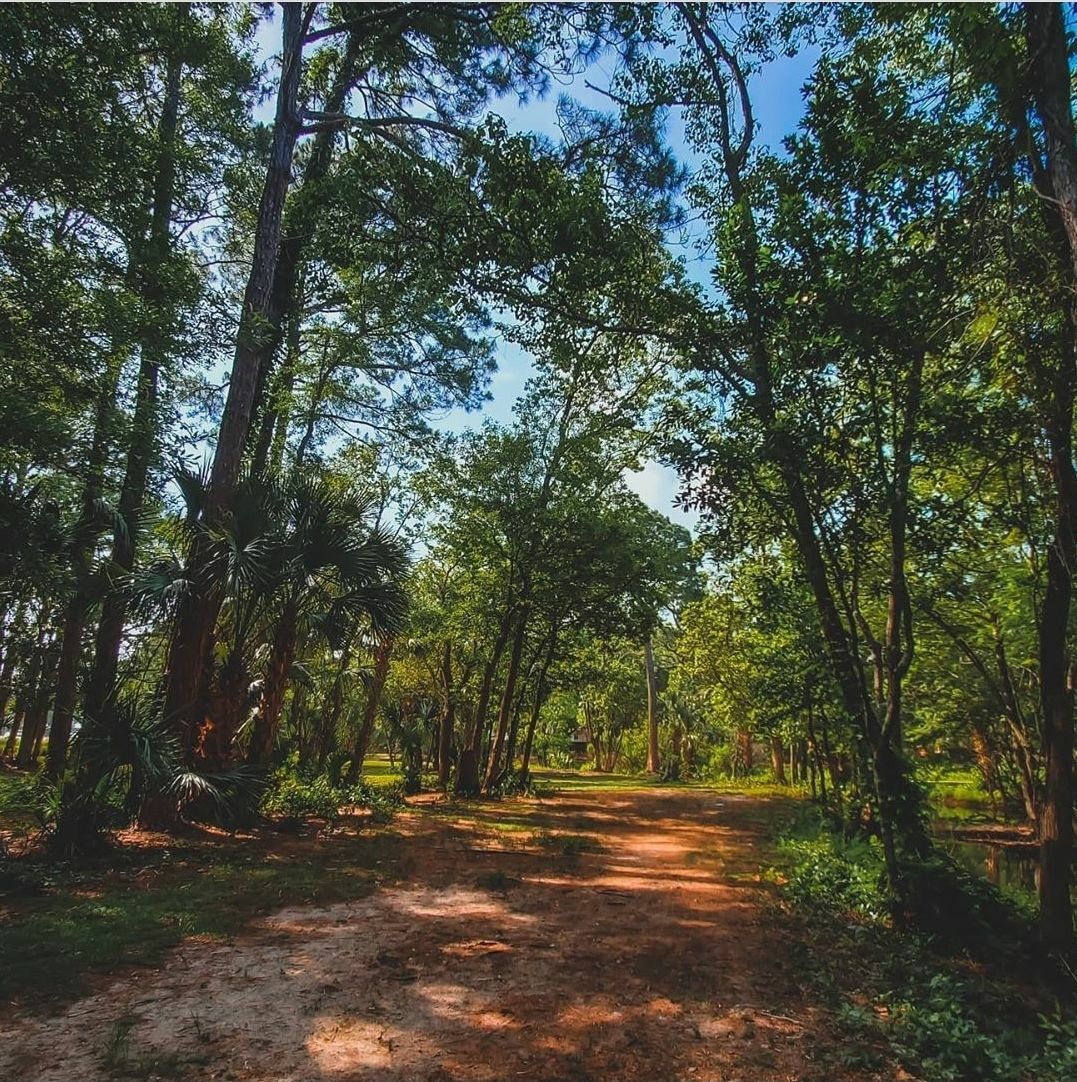 View off #14 pad... WARNING: creek to the right and in front of the basket if you go too far