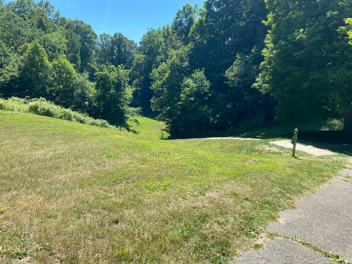 5 amateur tee box in mid June - the down hill is into the gully of doom.