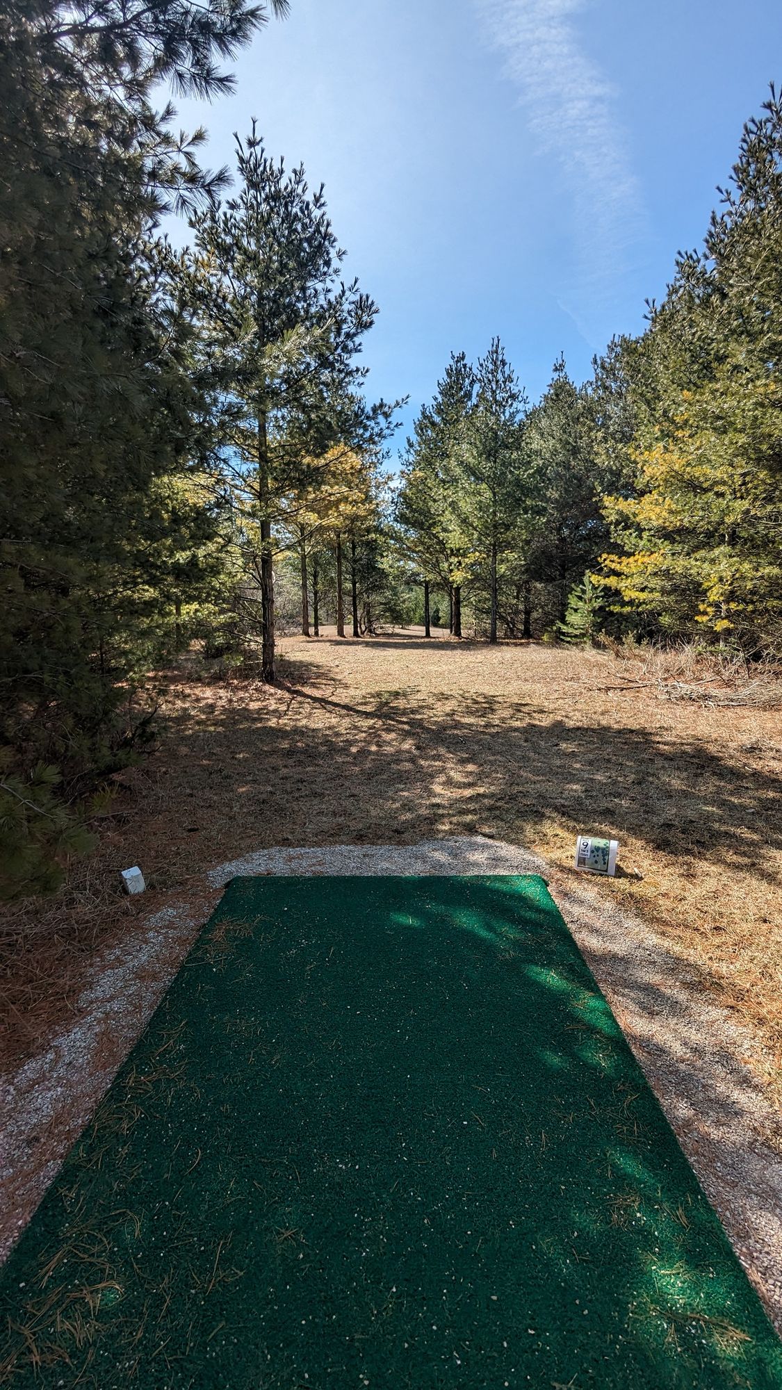 Hole 9-get through the guardian trees to find basket behind another pine tree