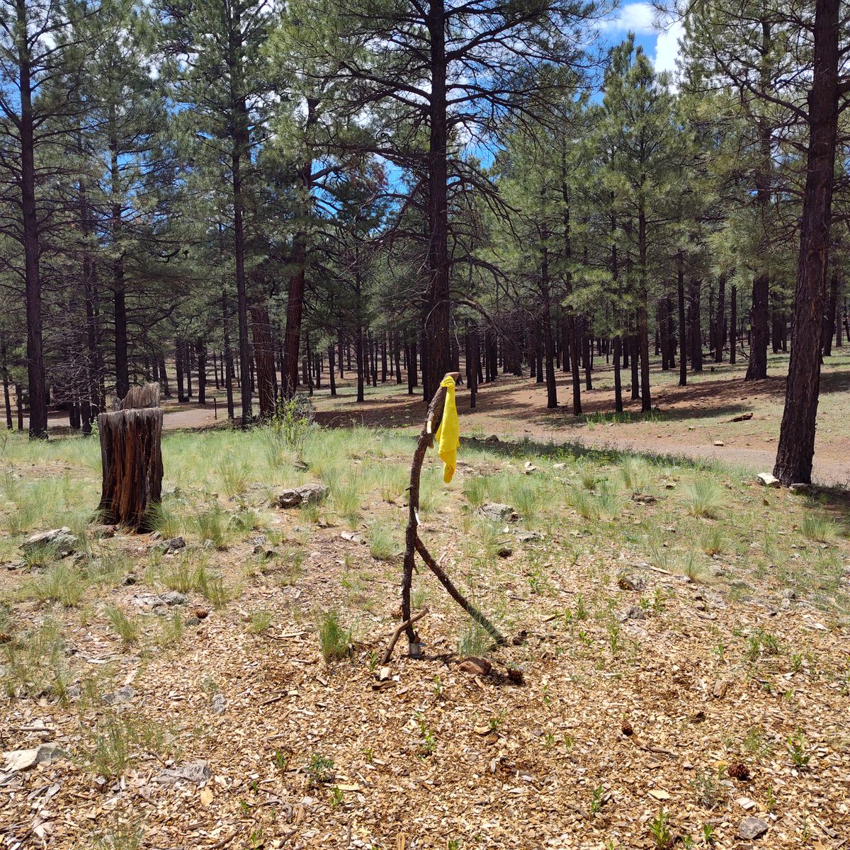 Hole 18