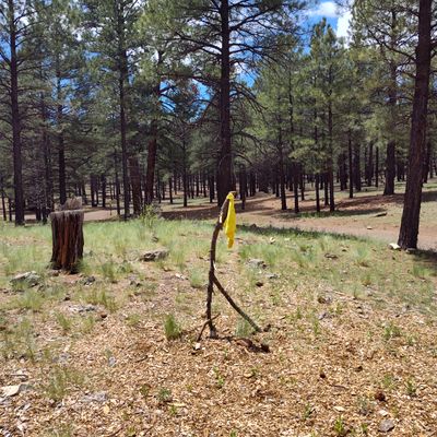 Hole 18