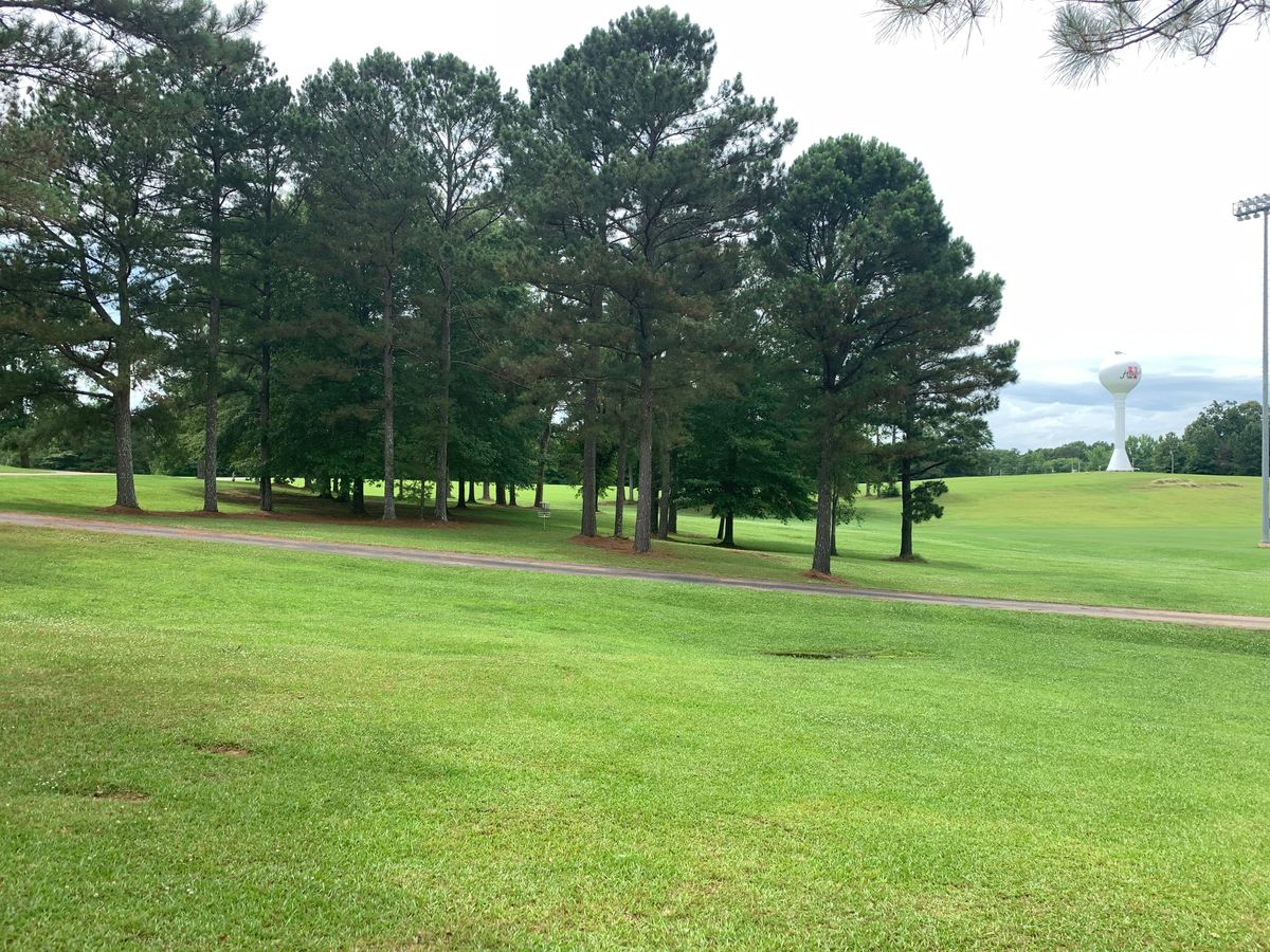 Hole 15 basket