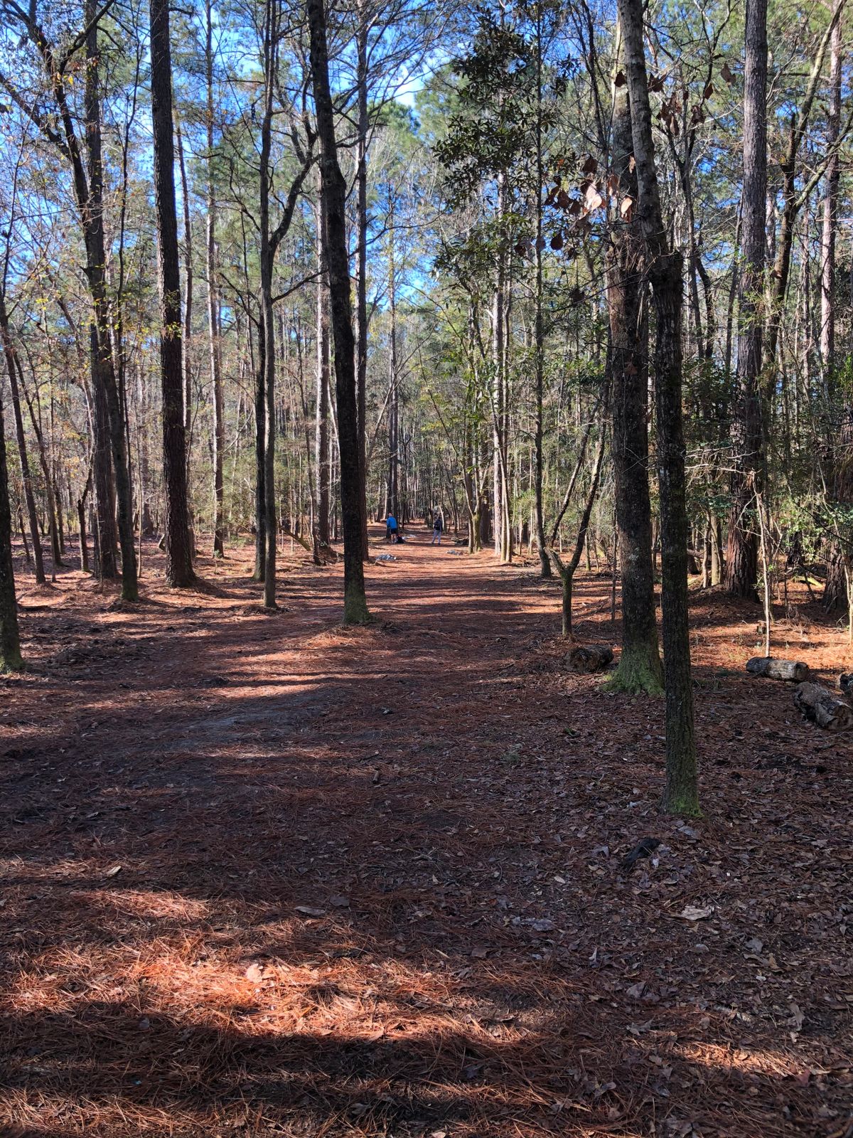 One fairway