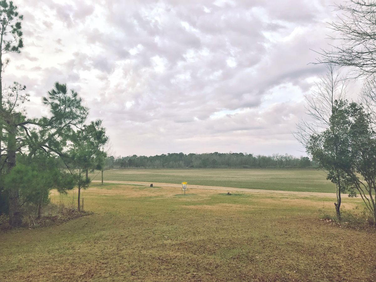 Looking at Hole 8 from the tee box of Hole 6