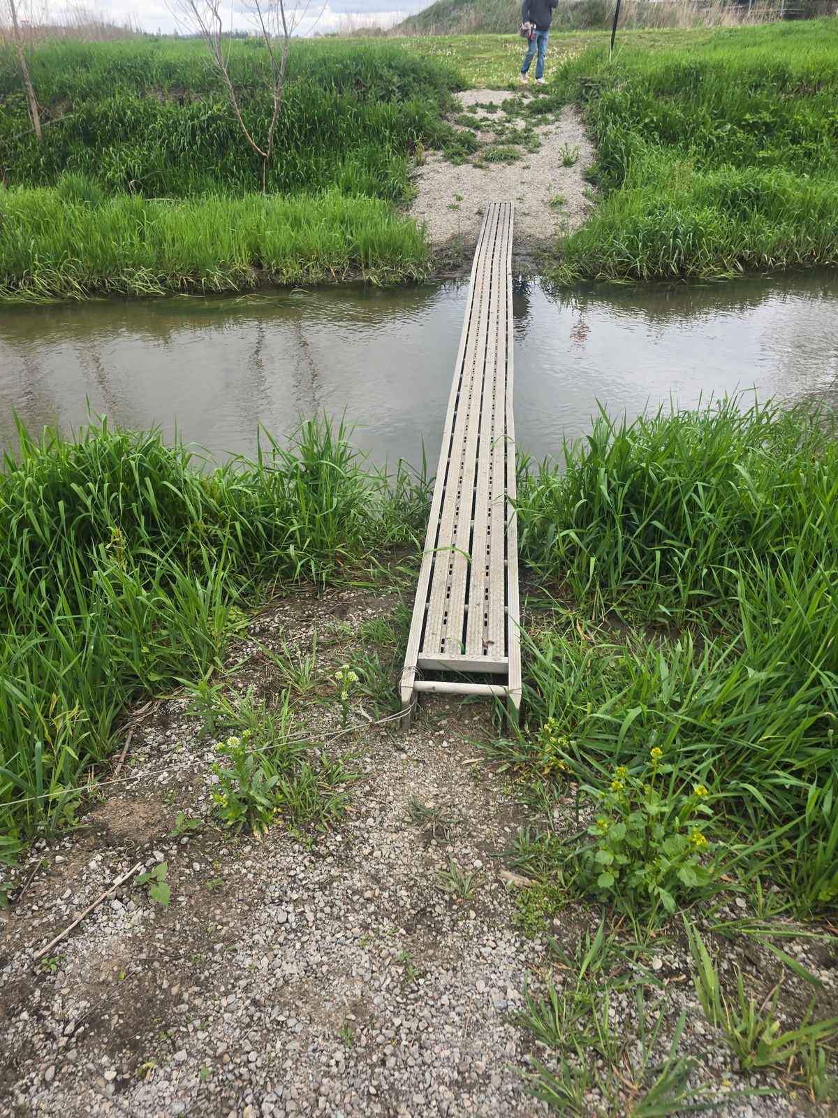 The bridge is a bit sketchy.