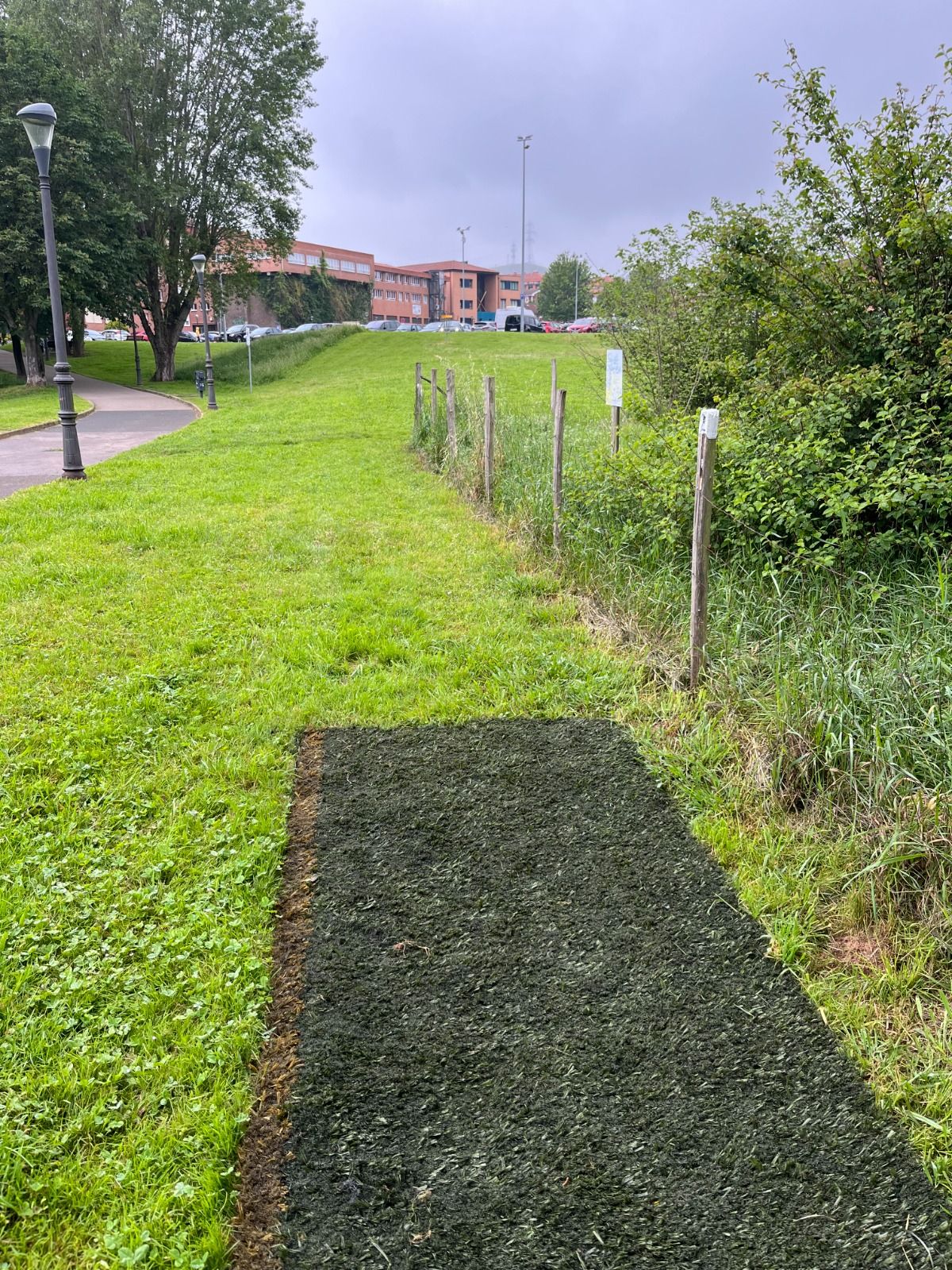 2. Zuloa _ Hole 2 Tee Pad _ Salida Hoyo 2