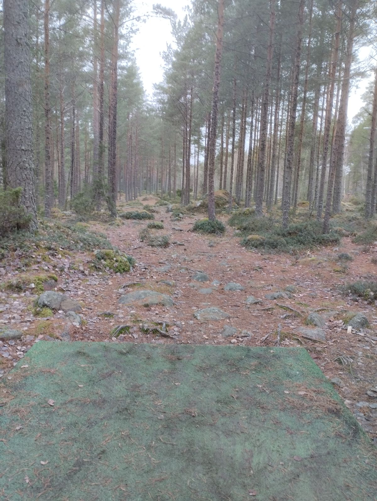 Väylä 9