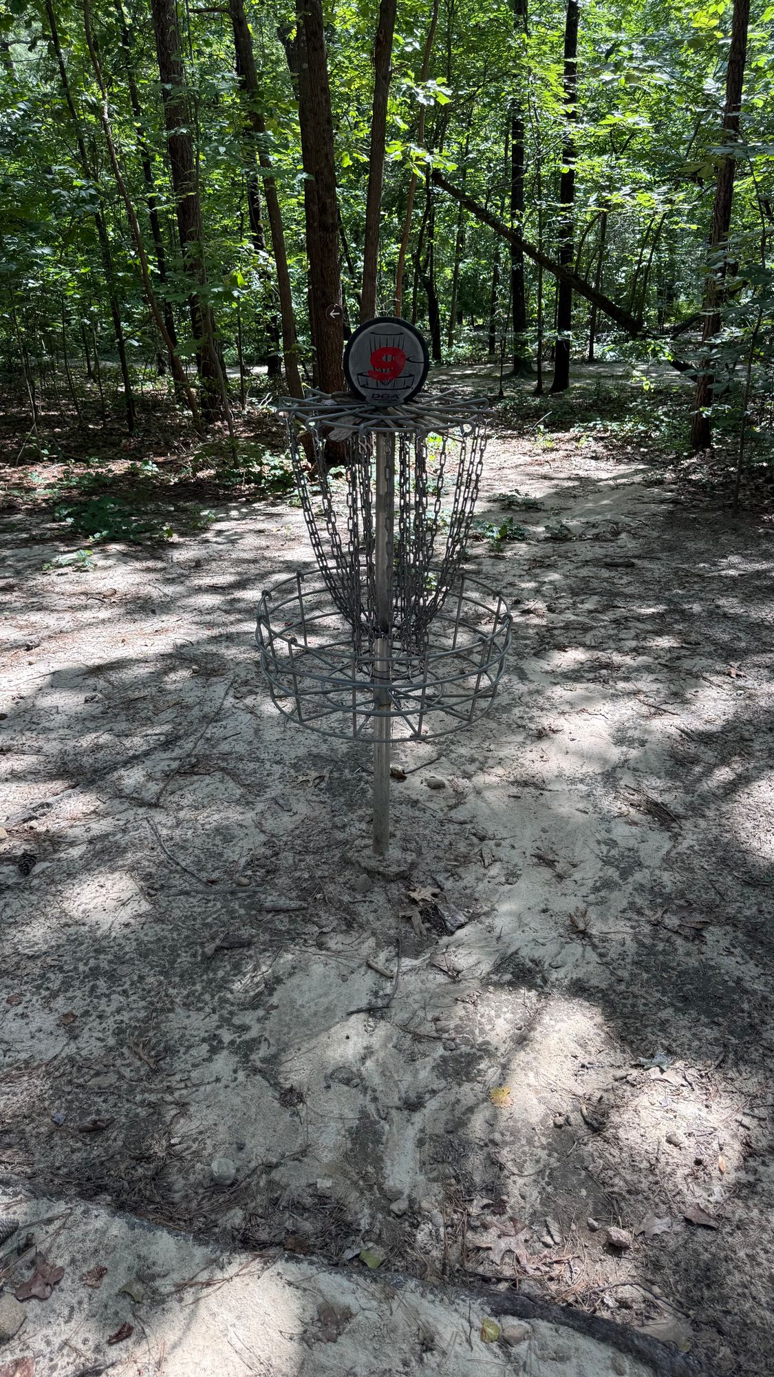 Hole 9 Basket