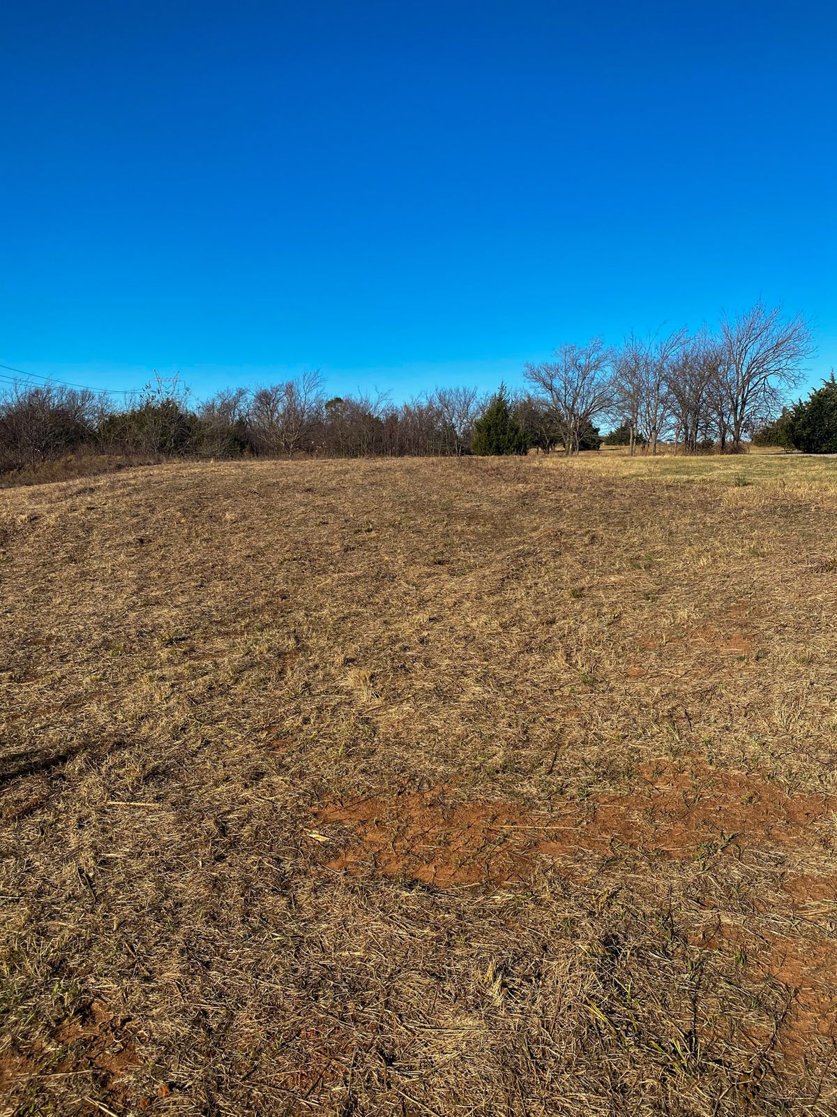 #14 Green looking back up hill to tee