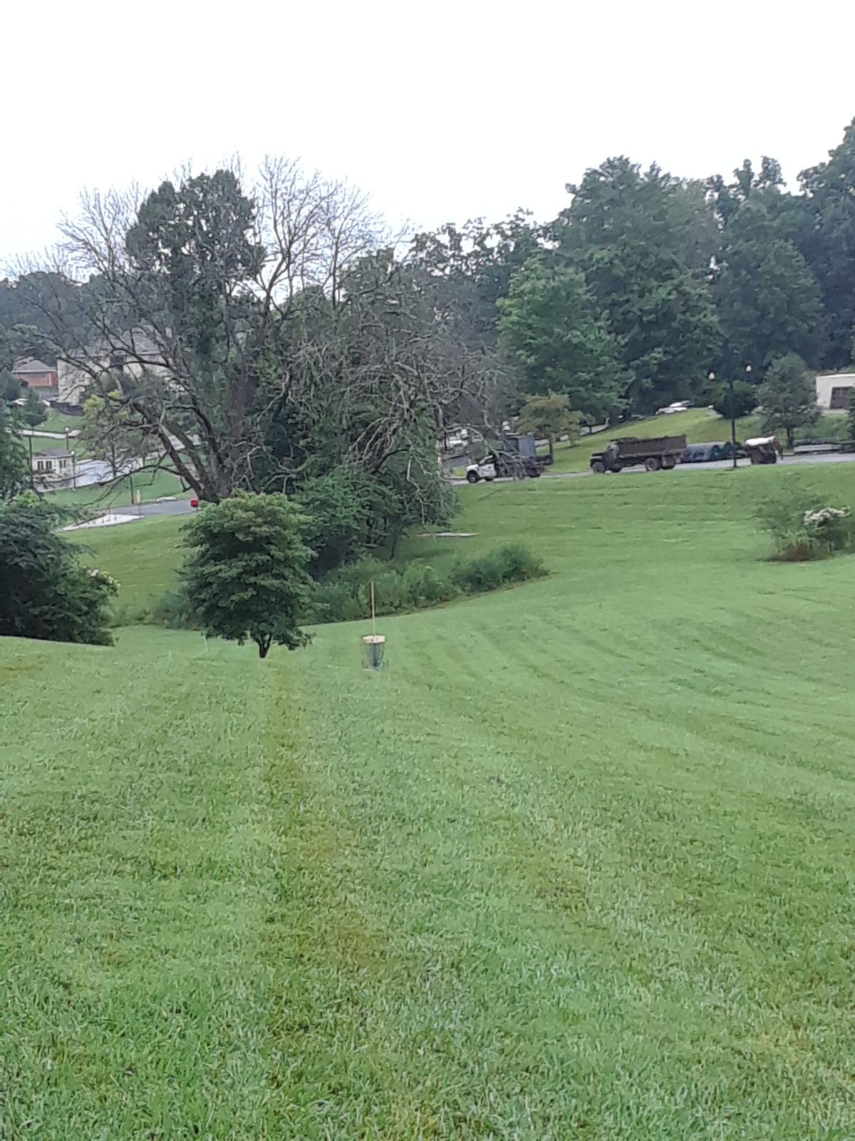 fairway #7