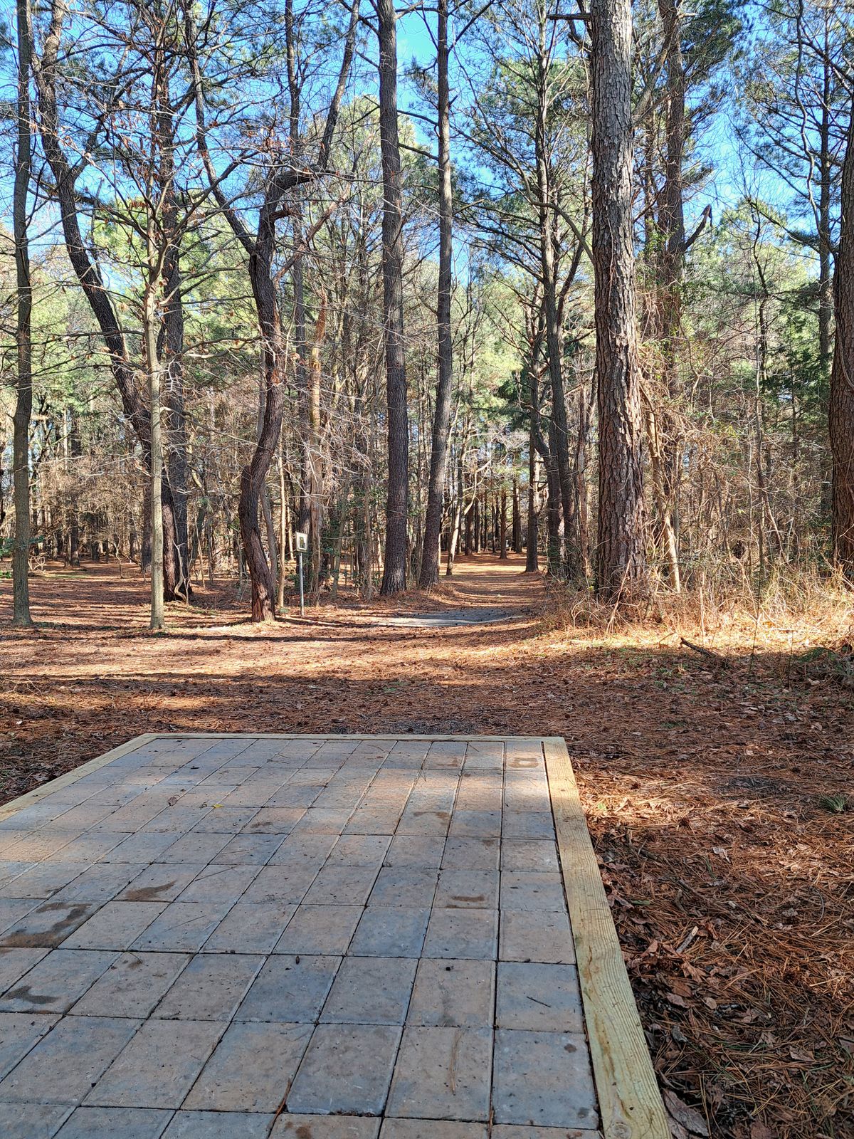 New tee pad