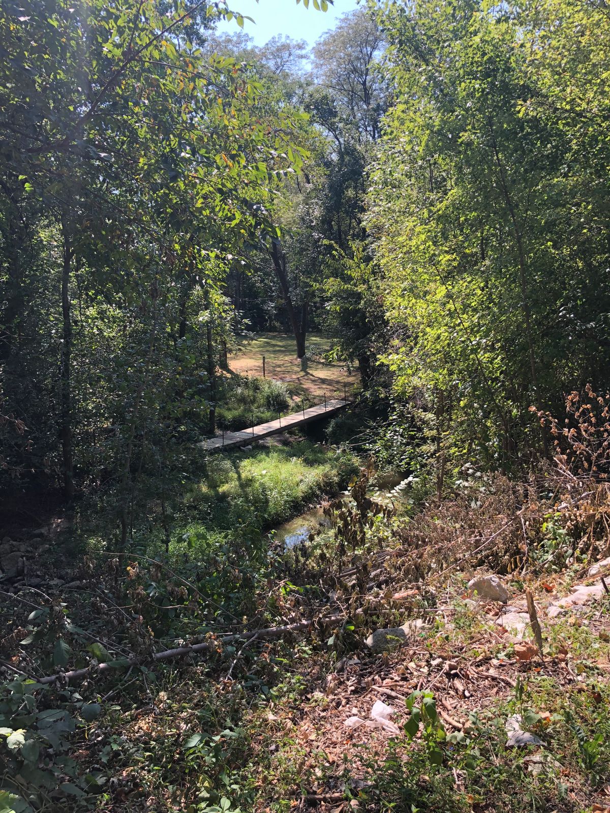 Brush cleared on 17 long pad, along with new bridge onto the OB island.