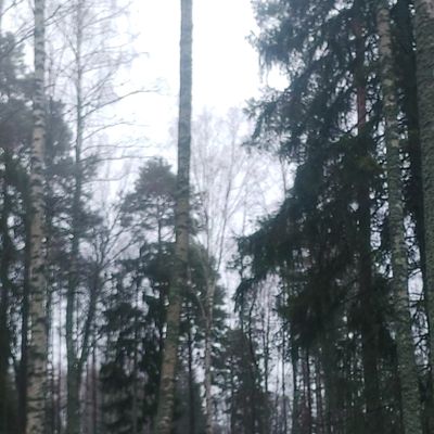 Väylä 3