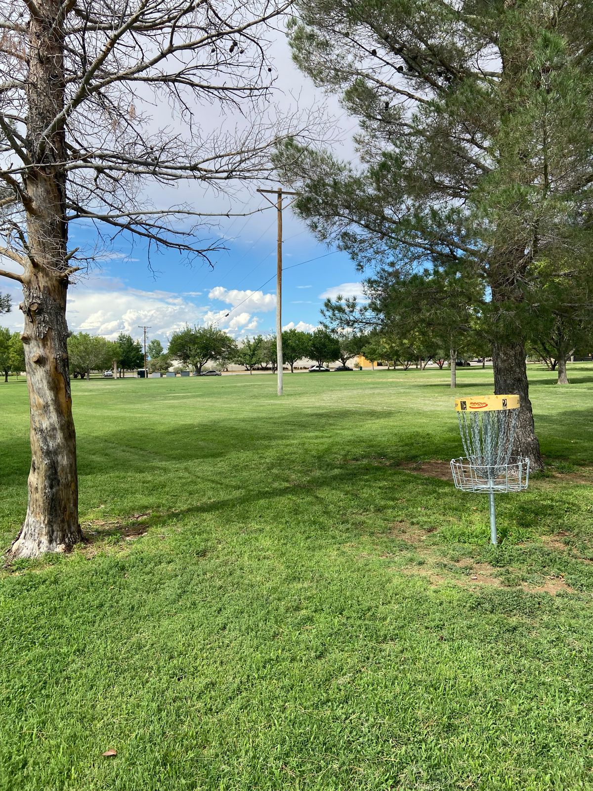 Hole 2 from basket, mando right in front