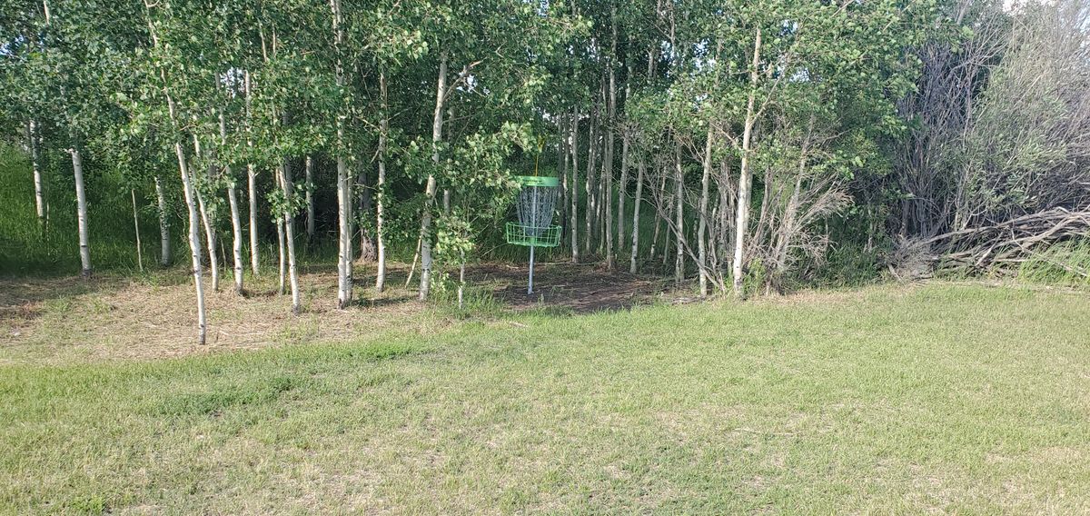 #4 Nicely tucked in the trees