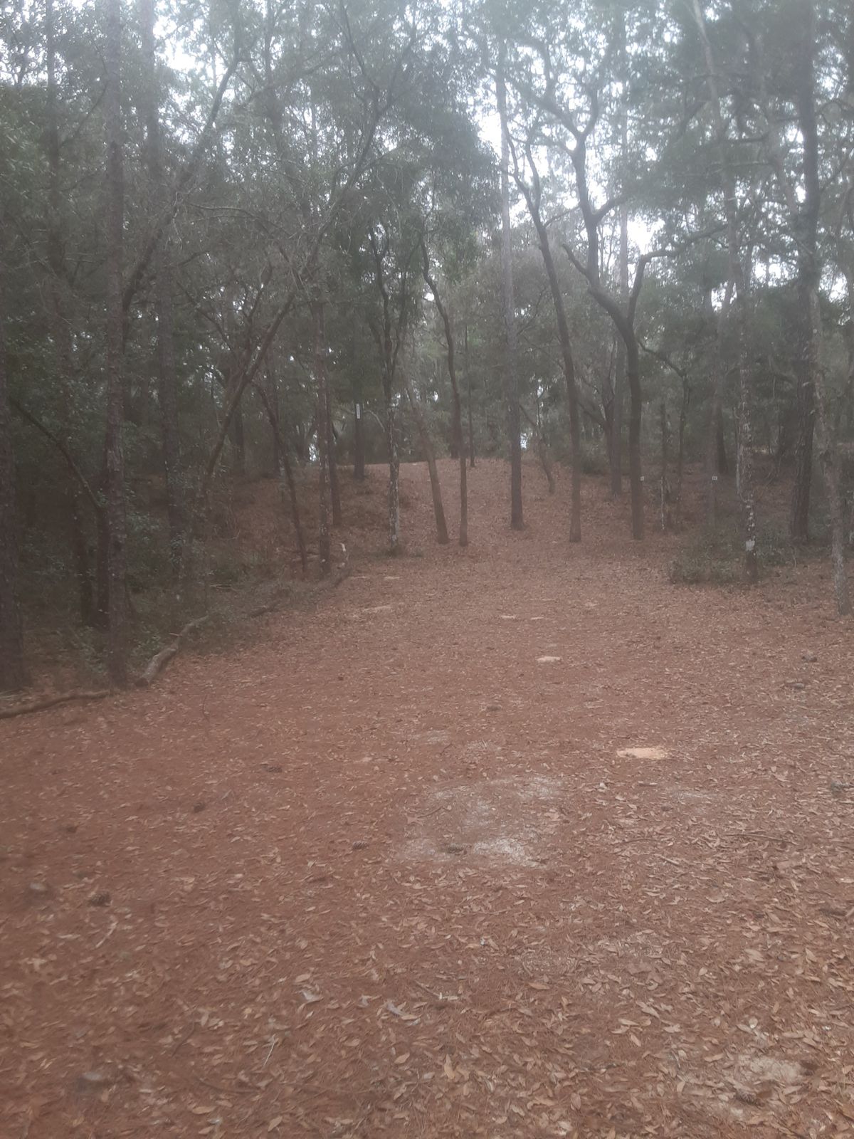 7 long fairway extension