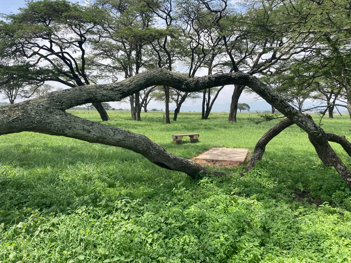 Looking through “The Mouth”  at the tee on Hole 14
