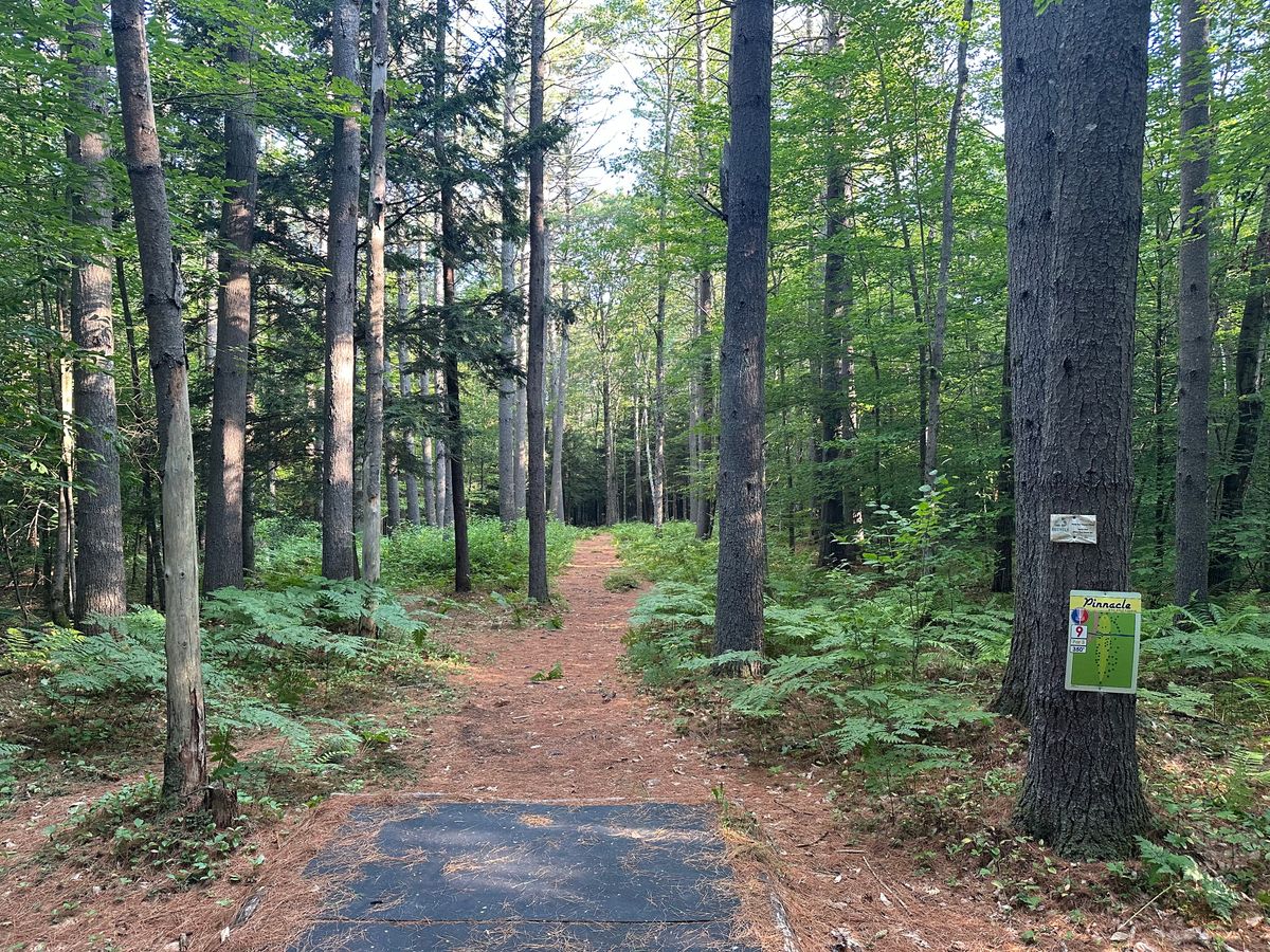 Tee pad 9