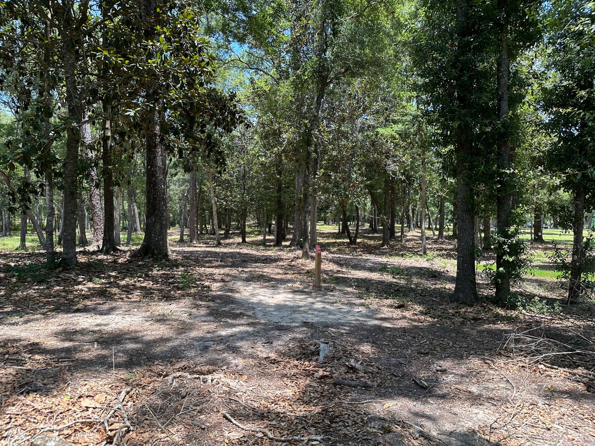 Hole 15