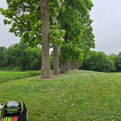 Hole 1