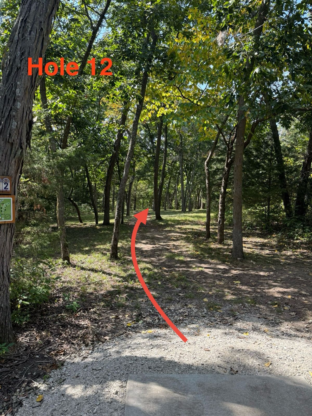 Hole 12 slight left to right downhill shot with sudden drop off right after basket green.
