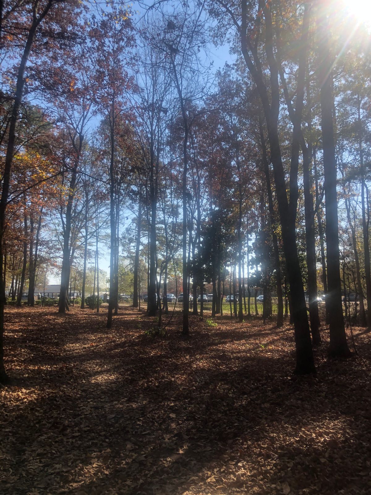 Hole 18