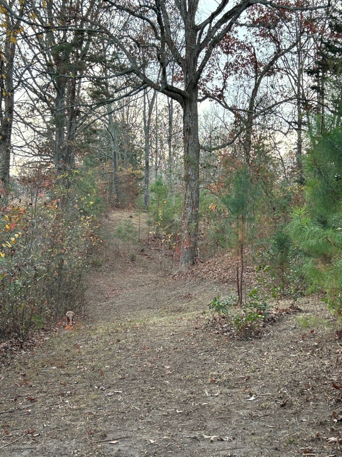 Hole 1 fairway - Fences are OB