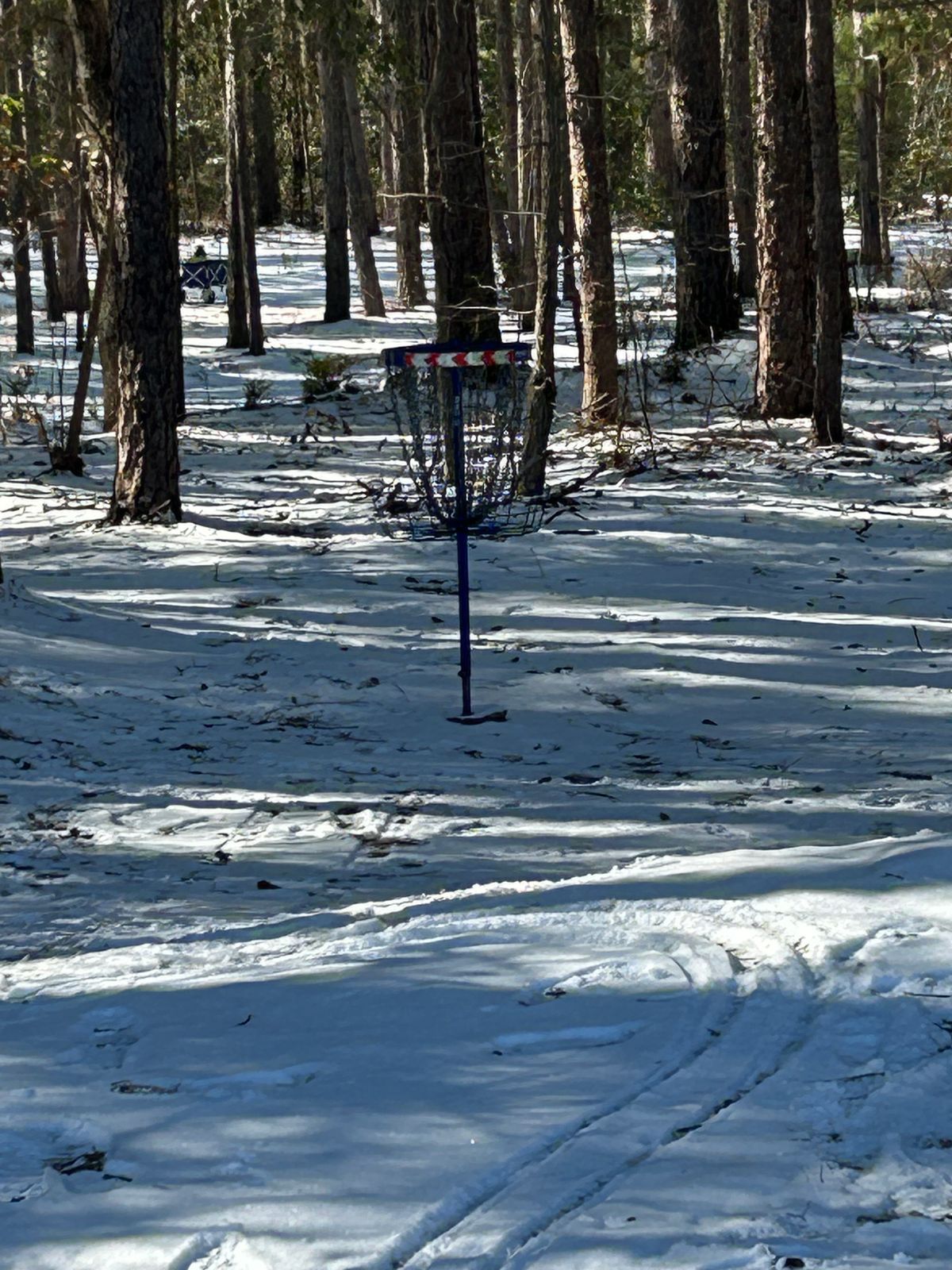 Basket 1