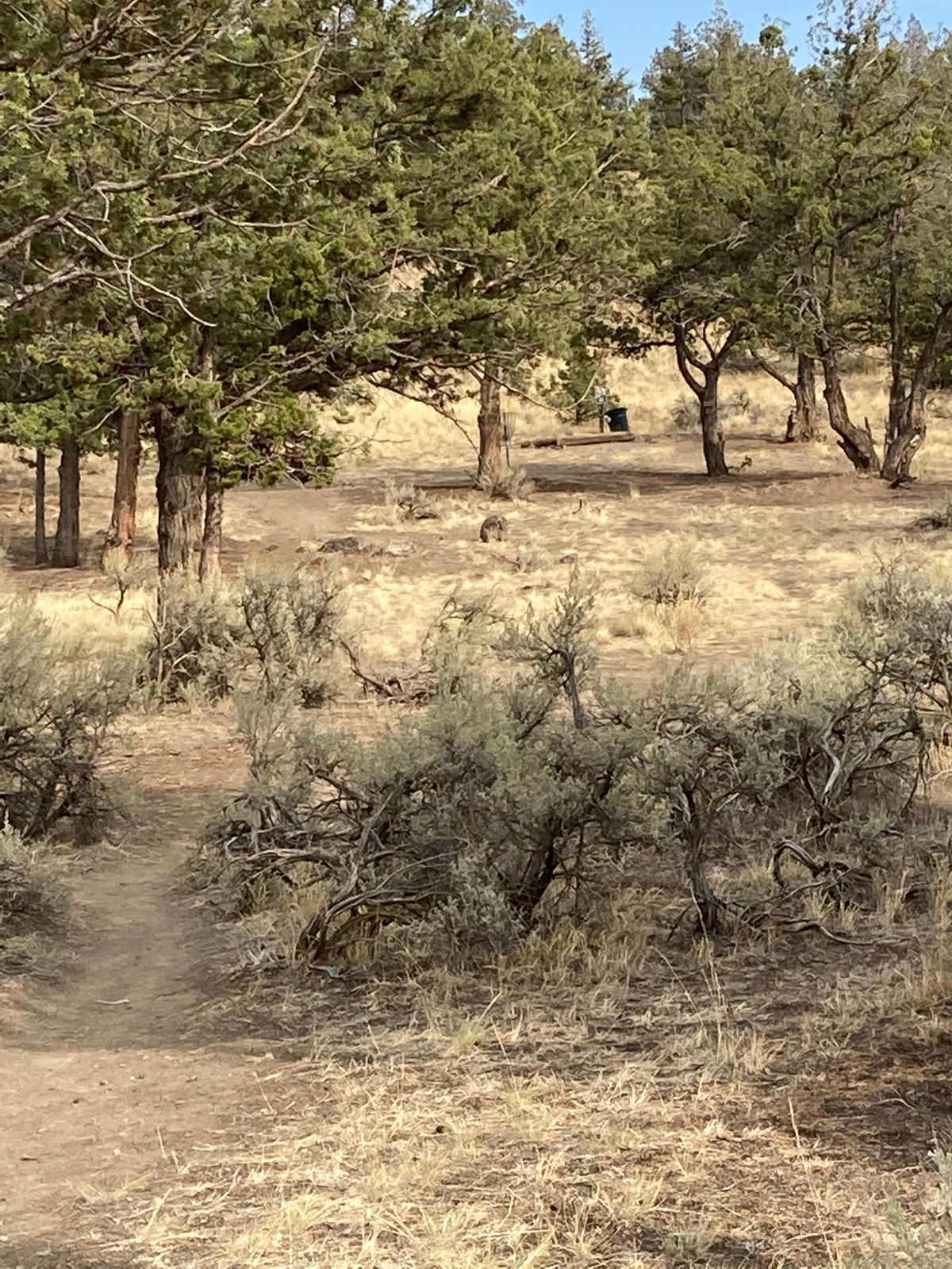 Hole 2
