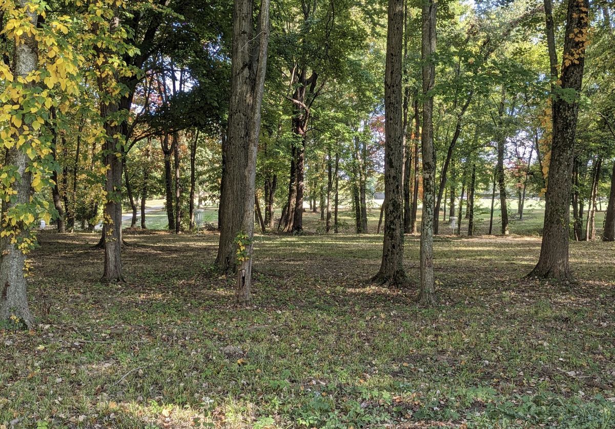 Nicely wooded