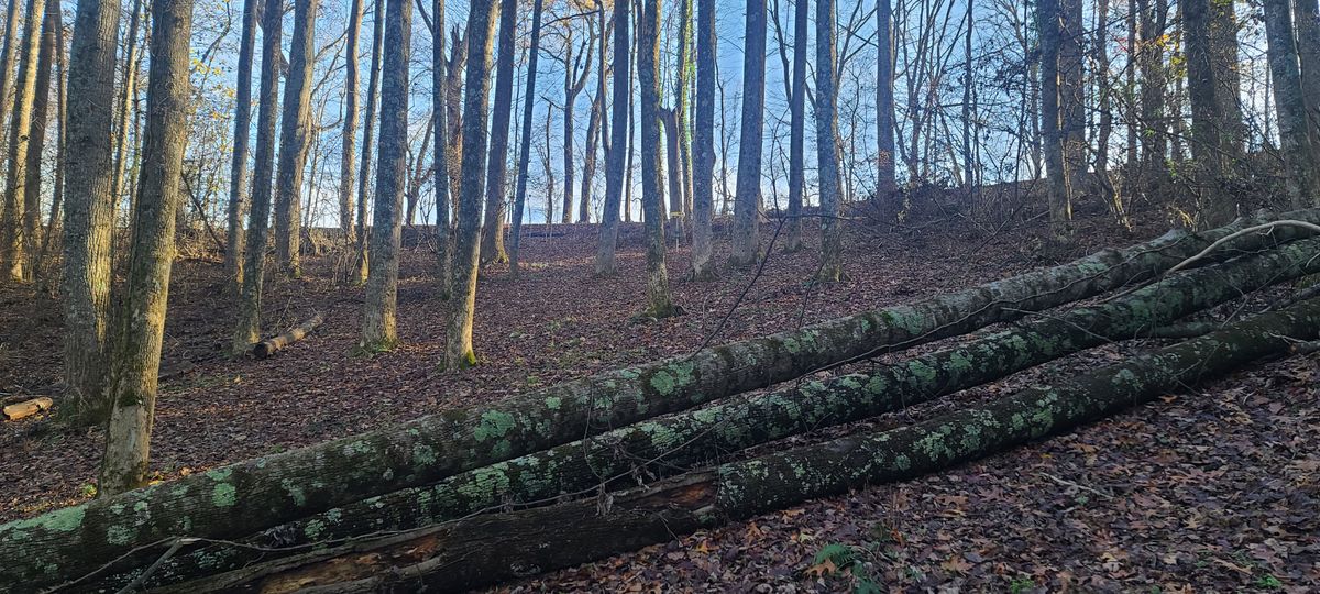 What you have to climb over on 13